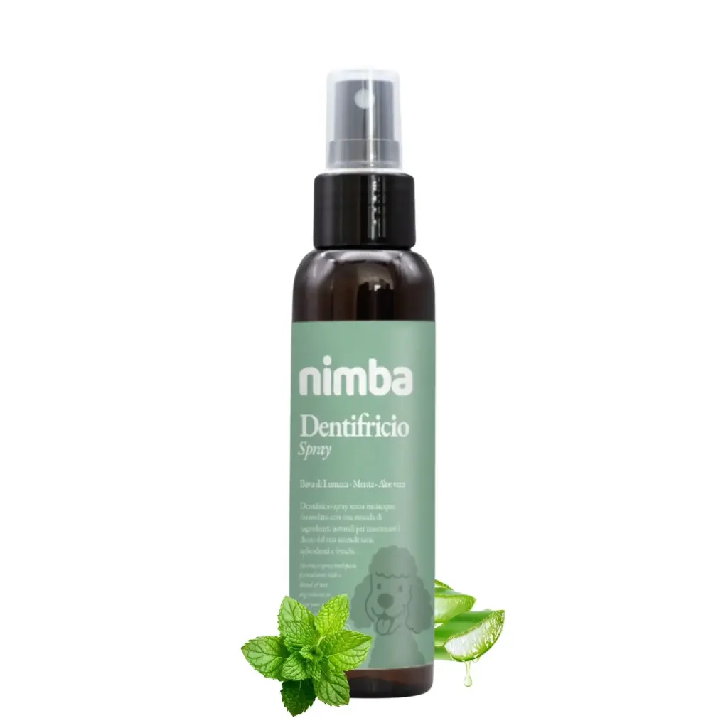 Dentifricio Spray Rinfrescante 100 ml